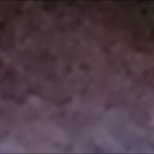 Meet your Posher, Alan